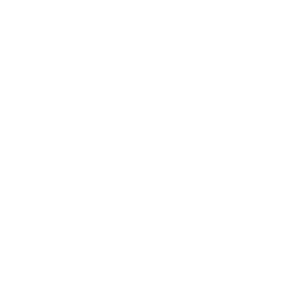 Favicon Riskyl